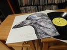 Strawberry Path - when the raven ... LP / Far Out Flower Travellin Band