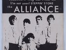 Garage 45 ALLIANCE Somewhere They Can't Find Me AMERICANA picture sleeve HEAR