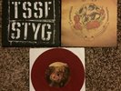 The Story So Far Stick To Your Guns Vinyl Rare OOP Title Fight Real Friends Tour