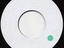 THE WRIGGLERS  THE COOLER  YOU CAN  NOT KNOW  VINYL DUBPLATE