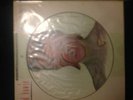 David Bowie Special limited picture disc Aladdin sane?