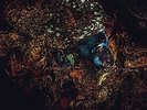 MESSAGE FROM THE OTHER SIDE [VINYL] Damian Lazarus & The Ancient M Vinyl