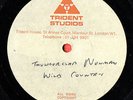THUNDERCLAP NEWMAN Wild Country (Something in the Air) - UK - TRIDENT Acetate
