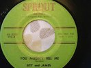 RARE NORTHERN SOUL / R&B - Sity and James on SPROUT