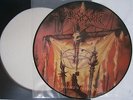 Pic.LP Desaster - Hellfire's Dominion / 1.Press /  Limited Edition,