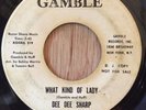 DEE DEE SHARP northern soul 45 What Kind Of Lady   Gamble DJ