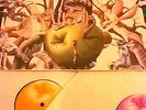 Cathedral ?– The Garden Of Unearthly Delights ORIG 2 x LP doom metal / stoner