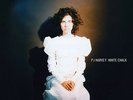 White Chalk - P.J. Harvey (2007, Vinyl New)