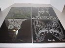 4 ELECTRIC WIZARD LP'S MINT  WE LIVE, WITCHCULT TODAY, BLACK MASSES, TIME TO DIE