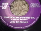 rare northern soul Joey Delorenzo Wake Up To The Sunshine Girl