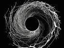 Dawn Of Midi ?– Dysnomia NEW/SEALED ERASED TAPES 2xVINYL LP JAZZ/EXPERIMENTAL