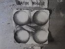 SATIN WHALE desert places (1974) Reissue LP NEU