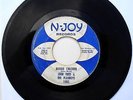 JOHN FRED & THE PLAYBOYS - BOOGIE CHILDREN ORIG 45 '65 r&b garage N-Joy ?