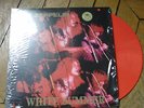LED ZEPPELIN White summer RARE LP live Playhouse london 27 06 69 VYNIL COULEUR