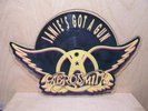 Aerosmith - Janie's Got a Gun   SHAPED PICTURE DISC   1989  NEW