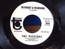 THE PASSIONS-WITHOUT A WARNING/JUST LIKE A ROLLING SEA-45RPM-VINYL-TOWER-DEMO