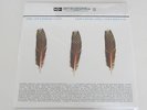 APPLESEED CAST  Low Level Owl: Volumes I + II TRIPLE LP BLUE/GREEN/BROWN NEW