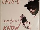 1995 - EAZY-E - JUST TAH LET U KNOW / THE MUTHAPHU**IN' REAL - MC REN - RUTHLESS