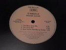 D’ANGELO Brown Sugar 12” promo original hip-hop soul r&b