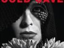 COLD CAVE-CHERISH THE LIGHT YEARS VINYL LP NEW