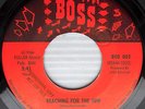 RAVENS Reaching For The Sun 1966 FLORIDA Garage Rock 45 on Boss BOS 003 w4266
