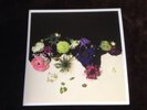 THE ROLLING STONES - DEAD FLOWERS SECRET 7 MINT / UNPLAYED