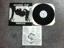 SACCHARINE TRUST Paganicons LP RARE 1981 ORIGINAL black flag flipper husker du