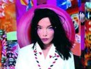 Bjork-Post Vinyl / 12