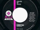 Hear? Leaves of Grass -Summertime / Crabs 1968 MN Garage EX Vinyl 7
