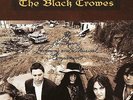 The Southern Harmony and Musical Companion by The Black Crowes (LP Record)  CXX
