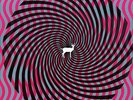 Deerhunter - Cryptograms/Flourescent Grey [Vinyl New]