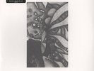 Vibracathedral Orchestra - Rec Blast Motorbike Vinyl US LP
