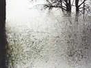 BON IVER - FROM EMMA FOREVER AGO NEW VINYL