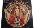 Michele [LP] by Saturn Rings
