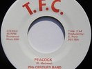 Rare Sweet Soul 45 - 25th Century Band Revue 