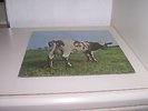 PINK FLOYD ATOM HEART MOTHER 1ST PRESSING NO E.MI. BOXED LABEL MINT- SUPERB COPY