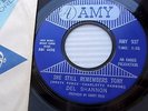 DEL SHANNON Move it on over She still remembers Tony 1965 MOD BEAT Rocker 45 e13