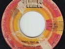 Crossover Soul 45 - Tomorrow's Men - Who's That Lady/It's Real - Congress - mp3