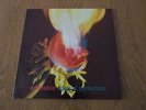 Against Perfection - Adorable (crelp 138;1993) Original pressing;Great condition