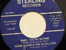 NORM BURNS & THE SATELLITES /RICK WILSON & THE FIVE STARS-BABY YOU'RE SO FINE /D