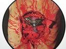 DISMEMBER - Indecent and Obscene 1993 Picture Disc - NOT FOR PLAYING
