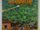 Azuquita 