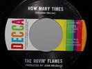 THE ROVIN' FLAMES 