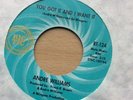 Mint Original Ric-Tic - Andre Williams - You Got It And I Want It