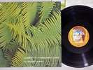EDGAR FROESE YPSILON IN MALAYSIAN PALE BRAIN 22S-31 Japan LP