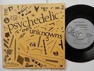 60's Punk Psychedelic  Unknows Vol.2 -  Various bands - Rare 2 EP's on Calico