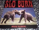 SLO BURN Amusing The Amazing LP 10