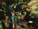 LP CREEDENCE CLEARWATER REVIVAL BAYOU COUNTRY  180 G VINYL