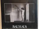 Bauhaus - In the Flat Field - Remastered Vinyl 4AD  Tones On Tail Peter Murphy