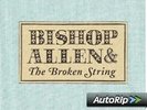 Bishop Allen - The Broken String  LP  Neuware